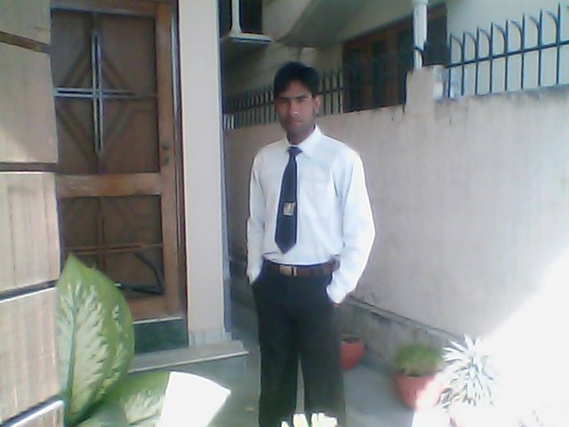 Early professional phase