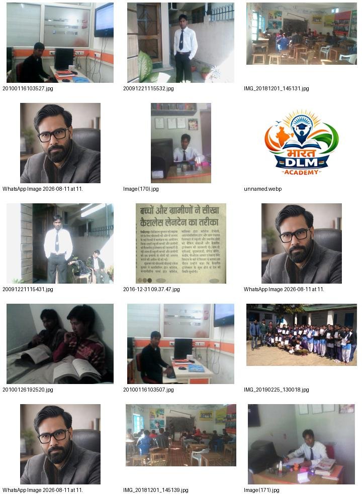Bharat DLM digital ecosystem collage